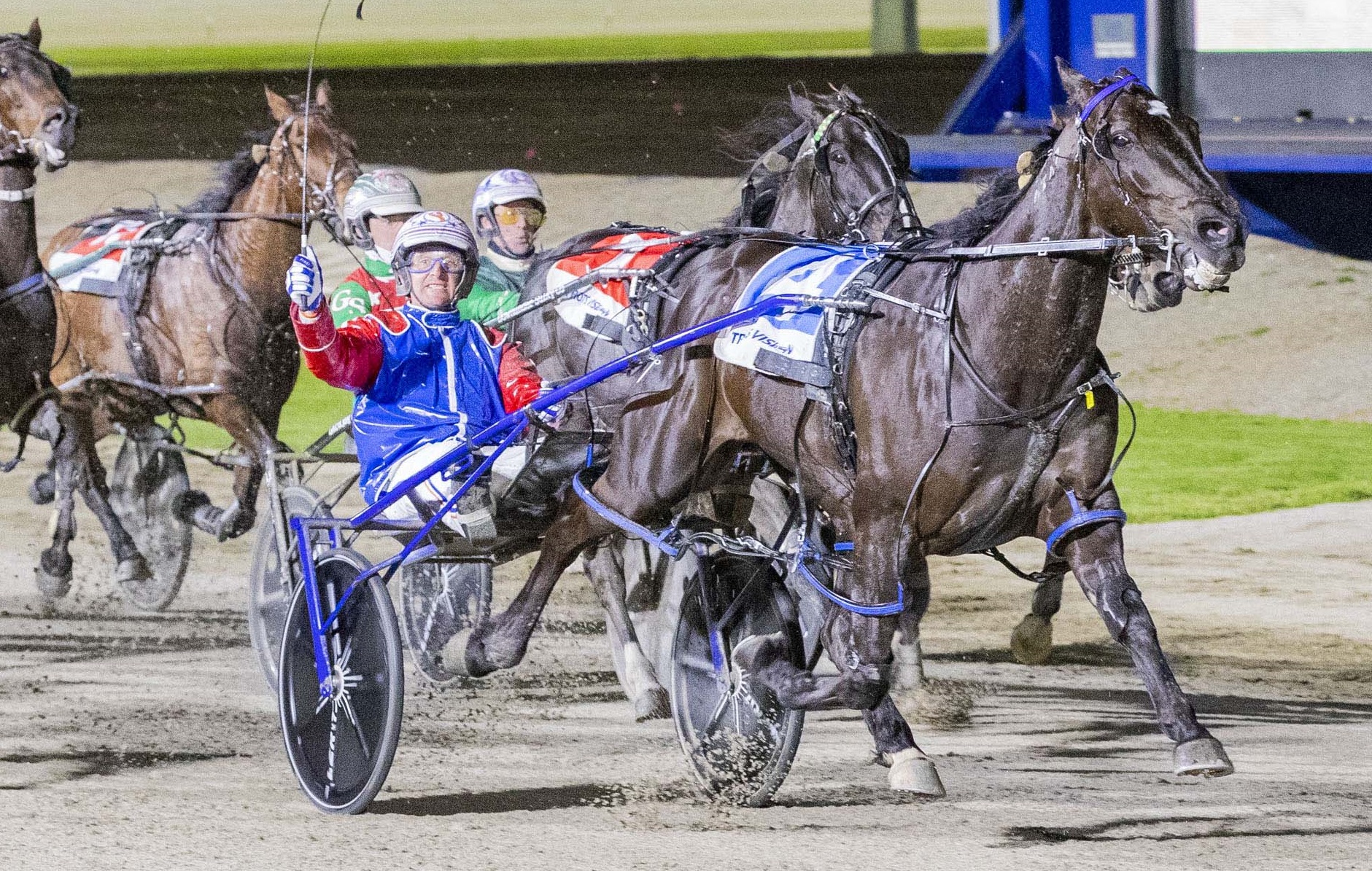 Victoria Cup Night to exceed turnover record Harness Racing Victoria